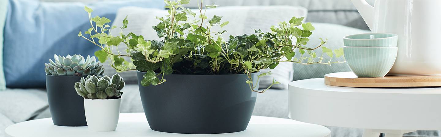 brussels bowl 23cm white